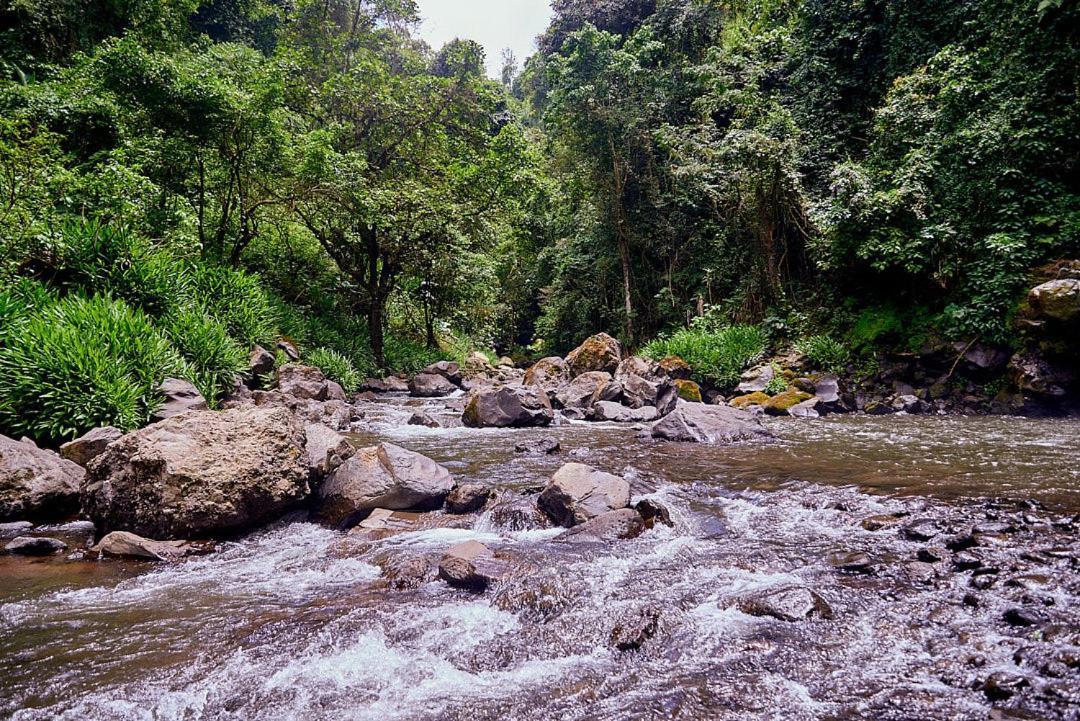 Kilimanjaro Foothills Getaway Hotel Moshi Bagian luar foto