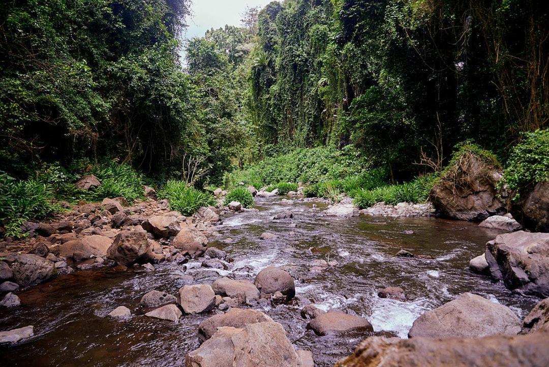 Kilimanjaro Foothills Getaway Hotel Moshi Bagian luar foto